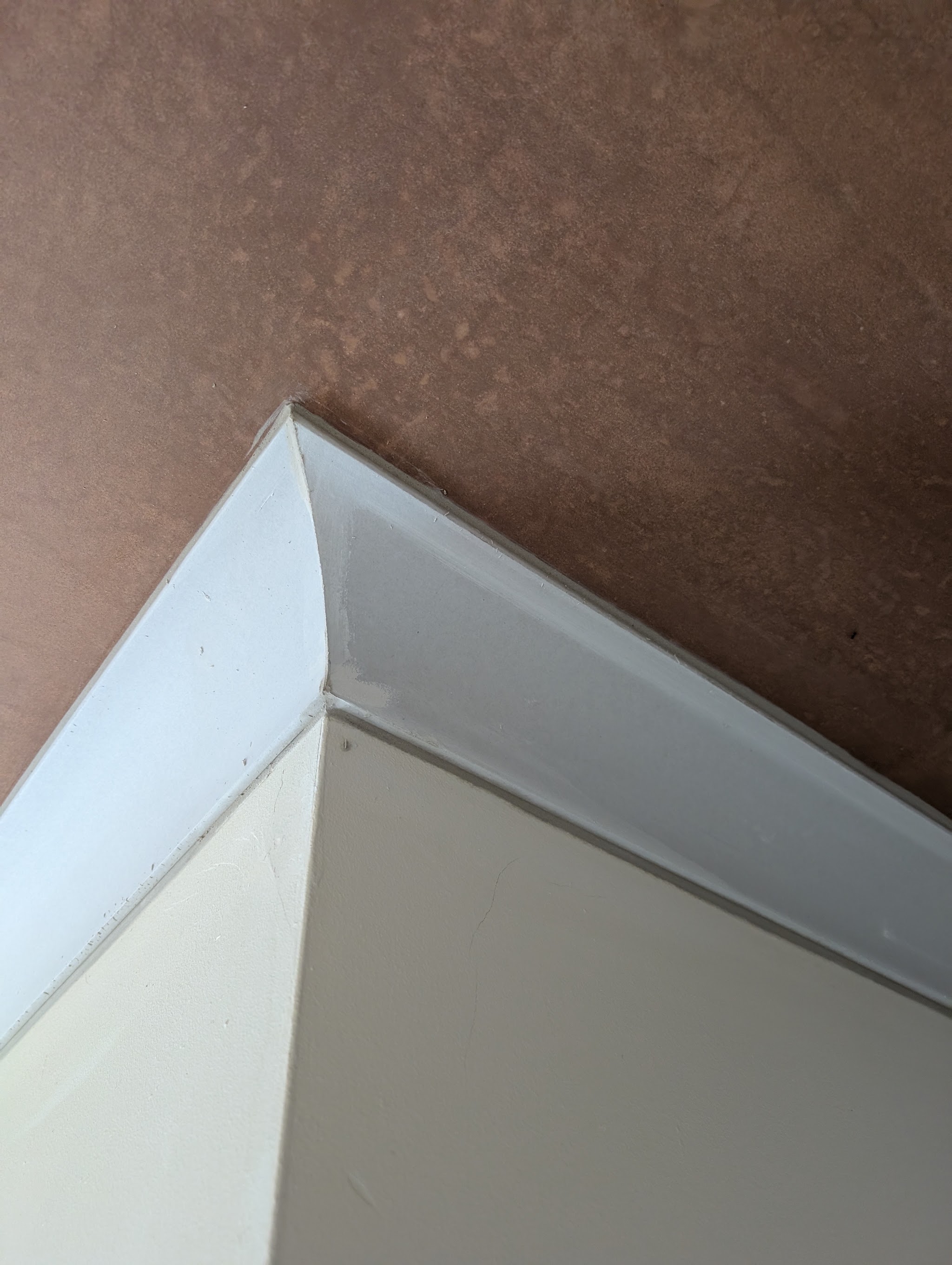 A crisp ceiling angle on fresh plaster, close up